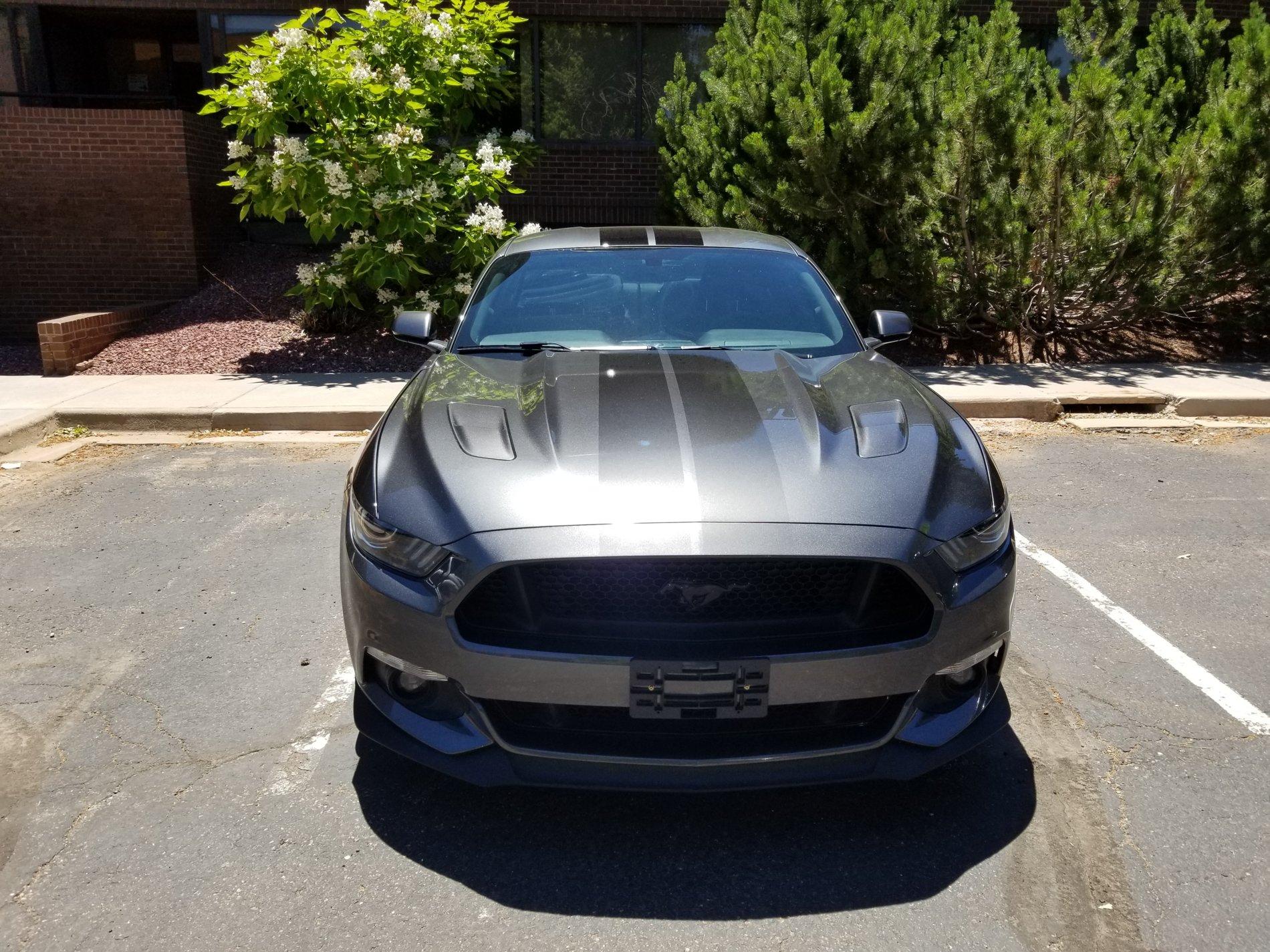 20190628_124526.jpg