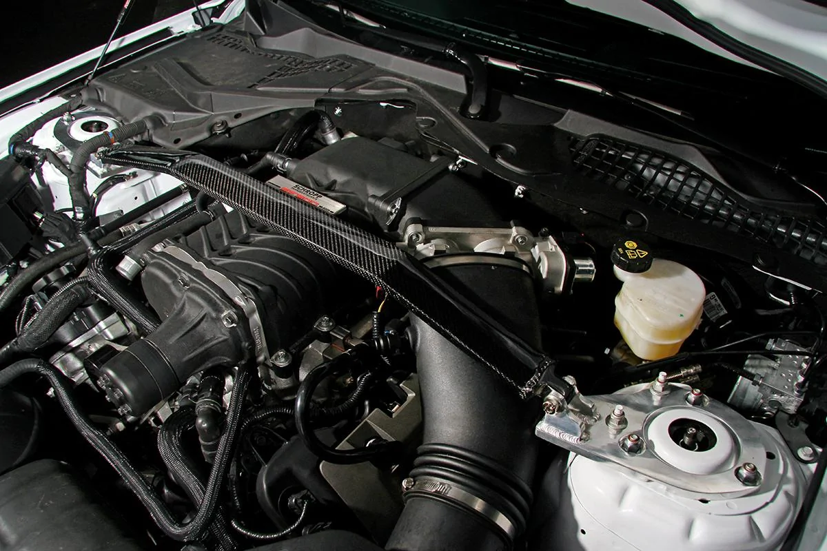 Domstrebe Carbon SF600.webp