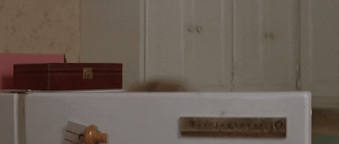 giphy.gif?cid=790b76115d1e563673624332411b25ad&rid=giphy.gif