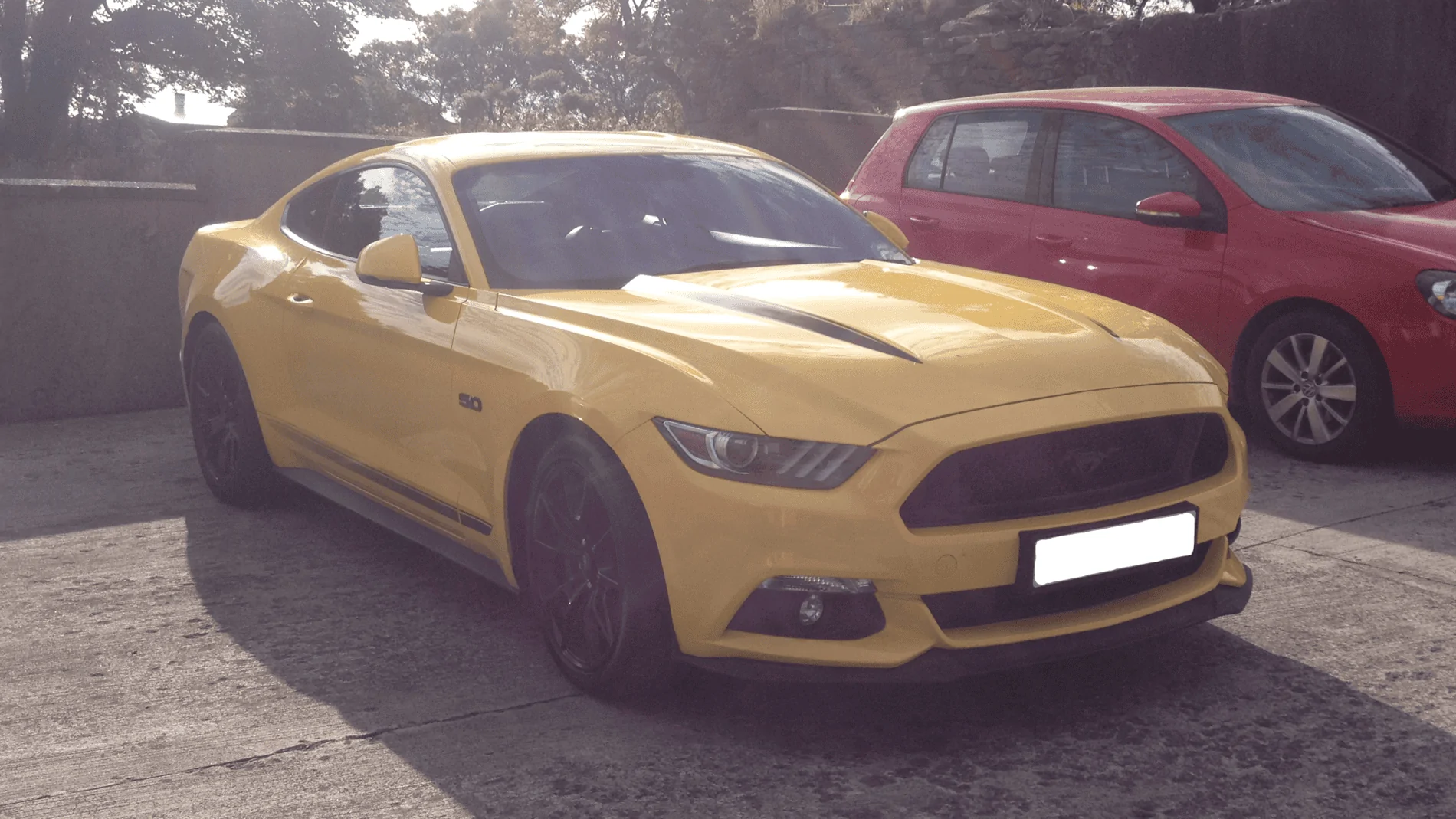 yellow mustang.webp