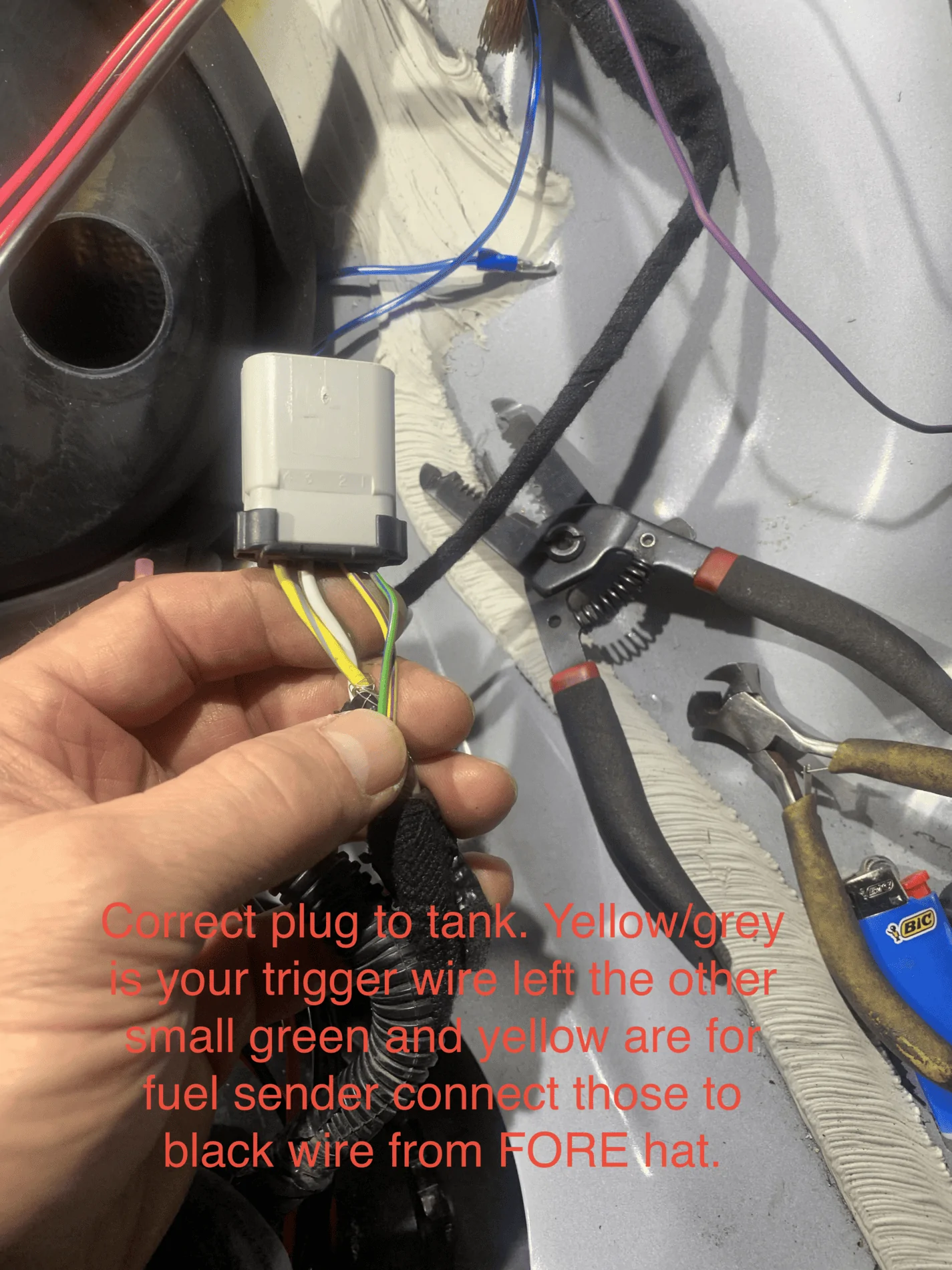 fullsizeoutput_ca9.webp
