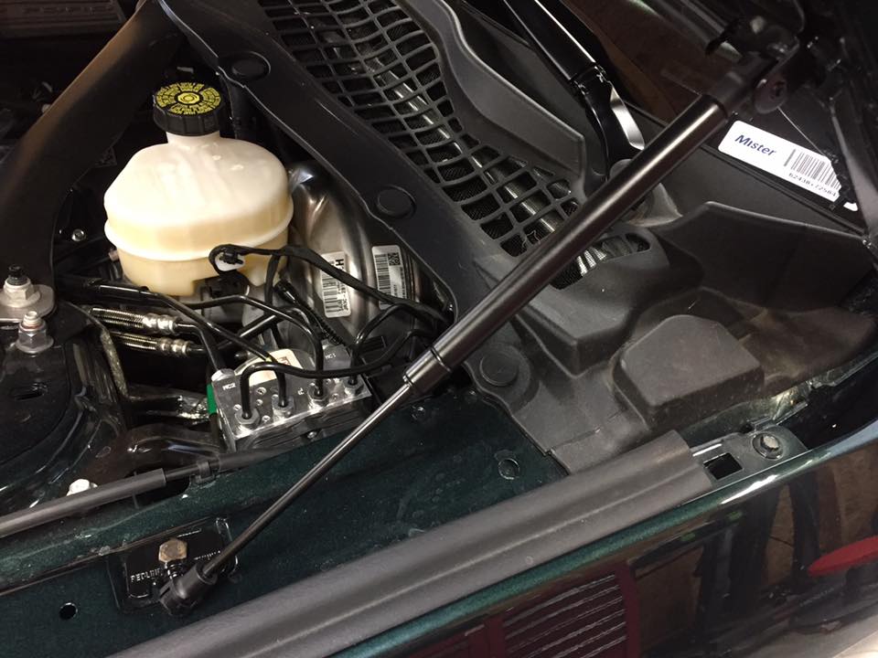 66091225_10156061210096695_3276743984499654656_n.jpg