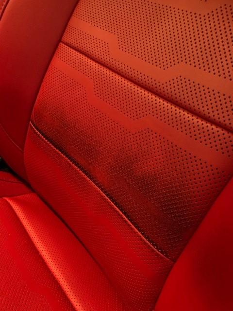 Show Stopper Red jpg.jpg