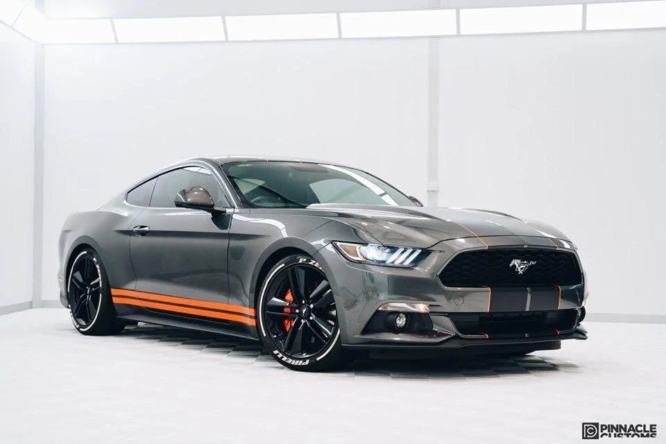 F4D9A65B-2279-42C4-BCE0-B12EF9EC137C.webp