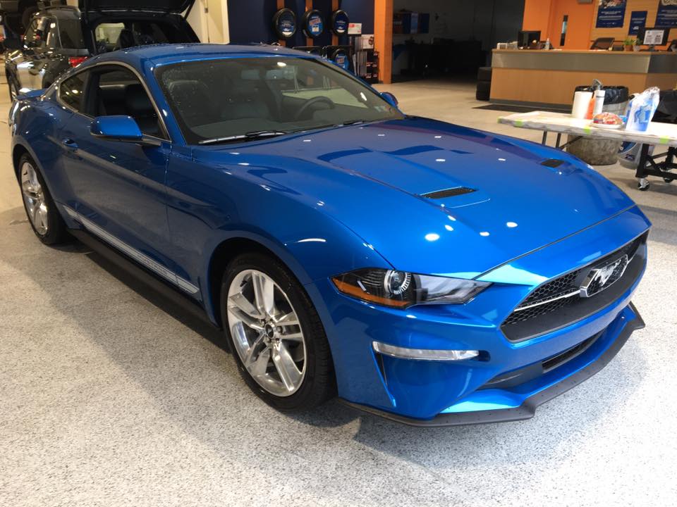 Mustang.jpg
