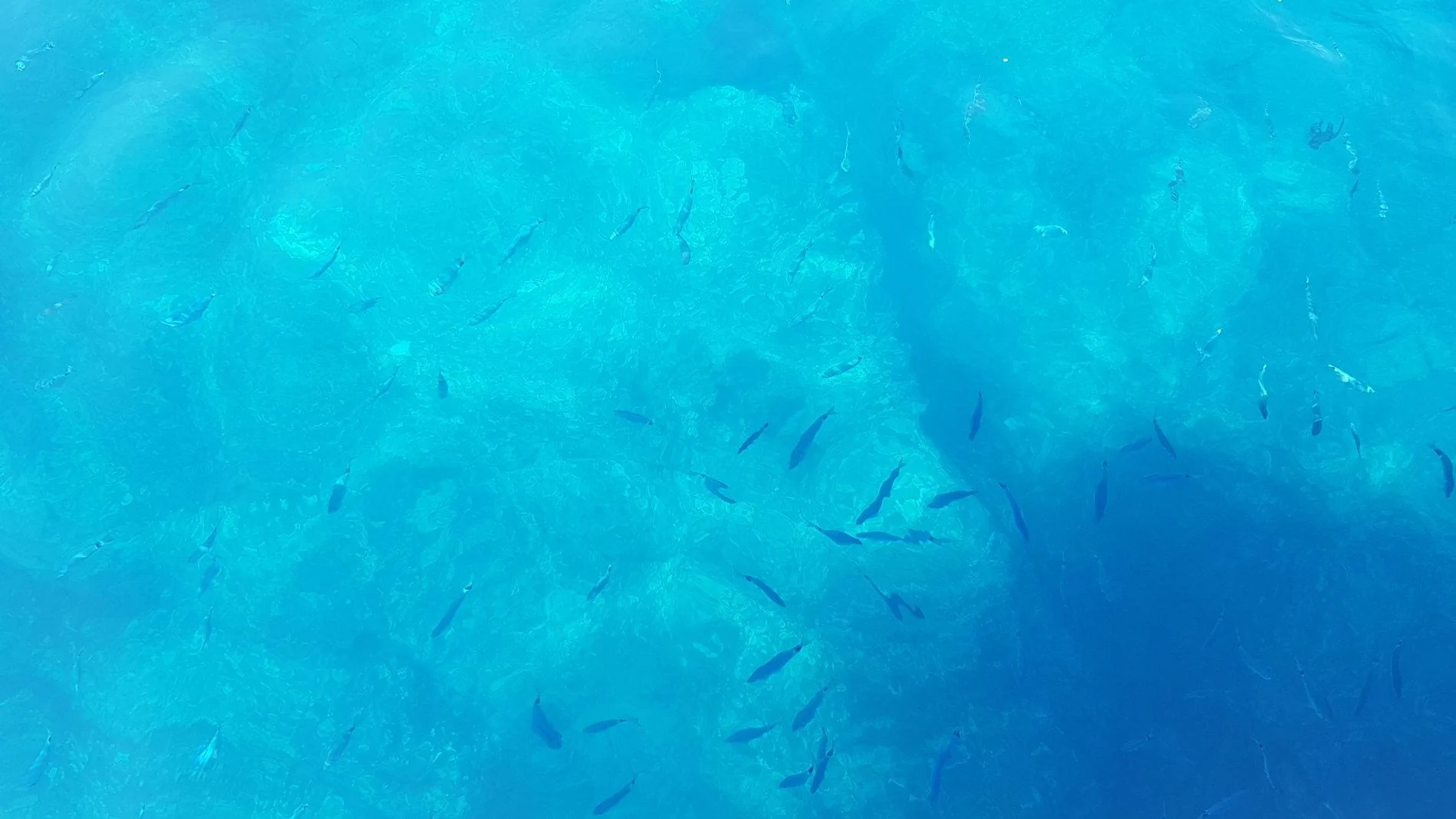 20190706_151352.webp