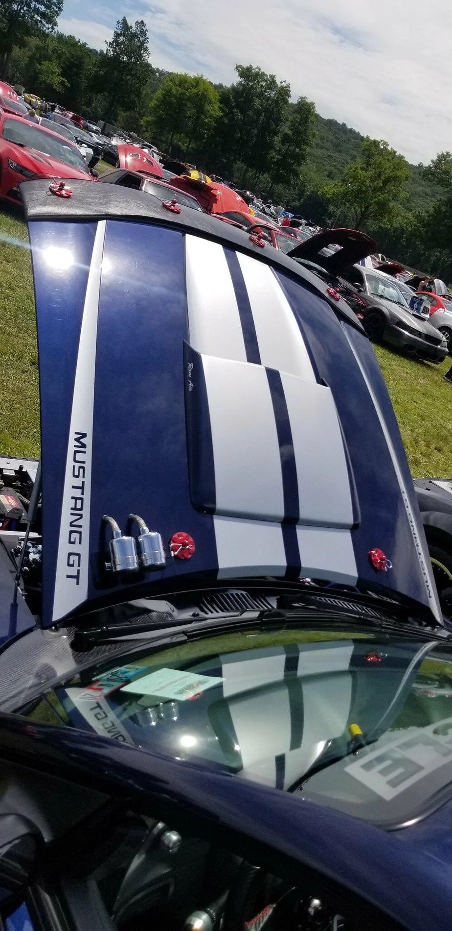 48231137257_ea074866ea_k.webp