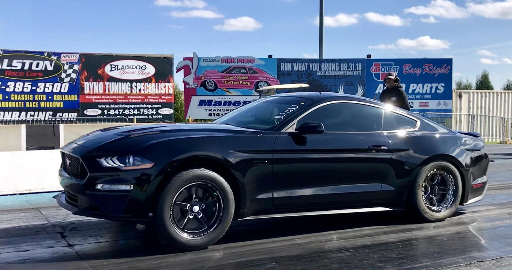 Mustang pic 1.webp