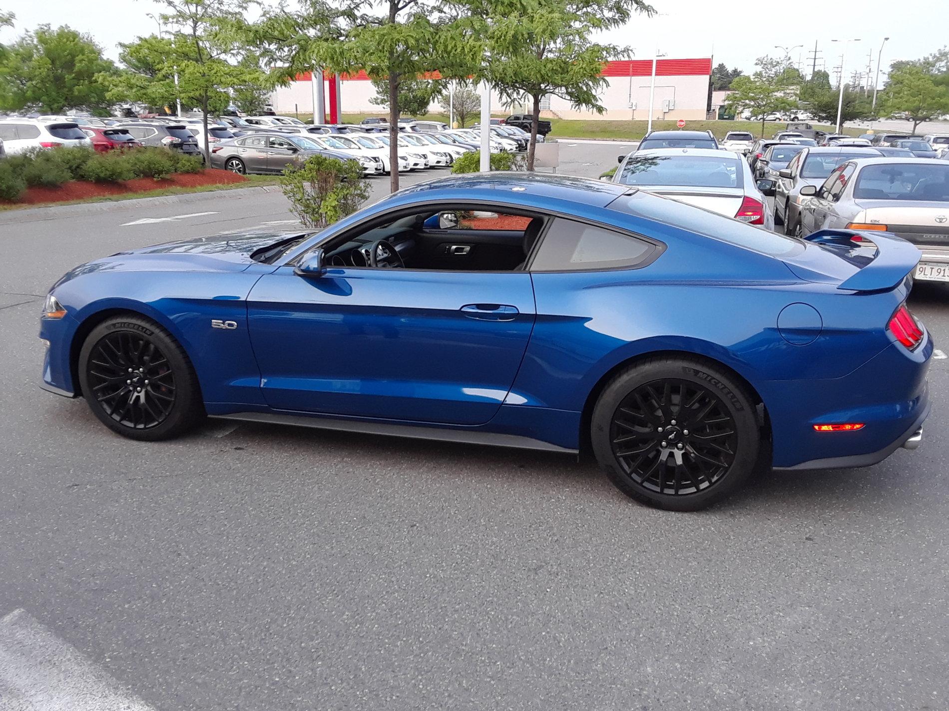 2018 GT.jpg