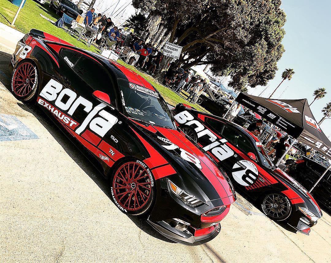 BORLA MUSTANGS.jpg