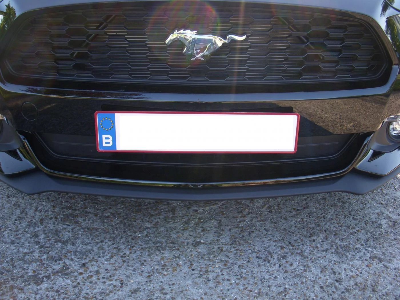 Pichon Plate Mod 22-08-2015 (06).webp