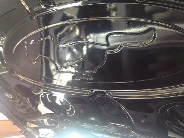 embossed hood.webp