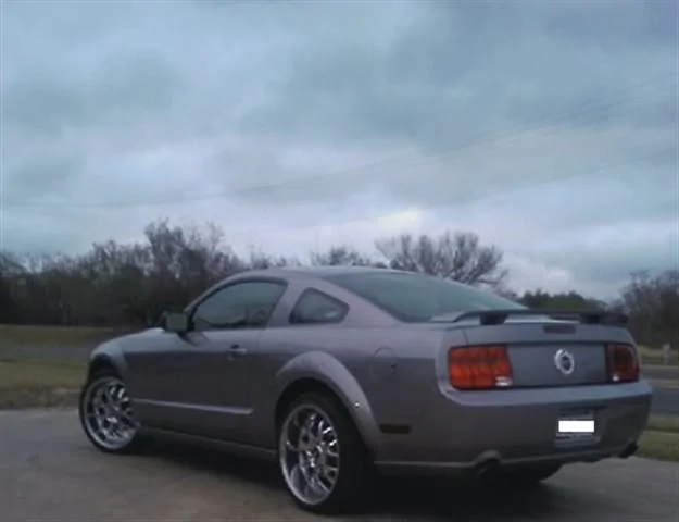 stang.webp
