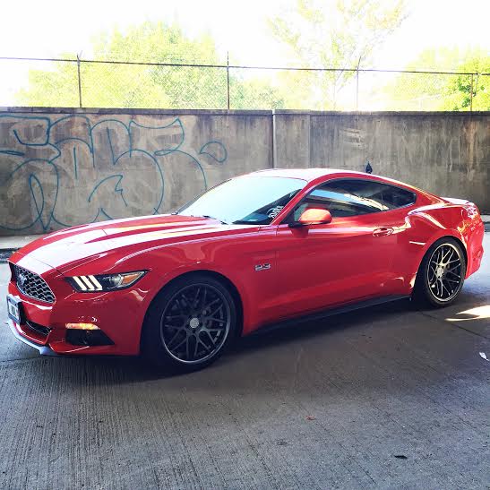 mystang.jpg