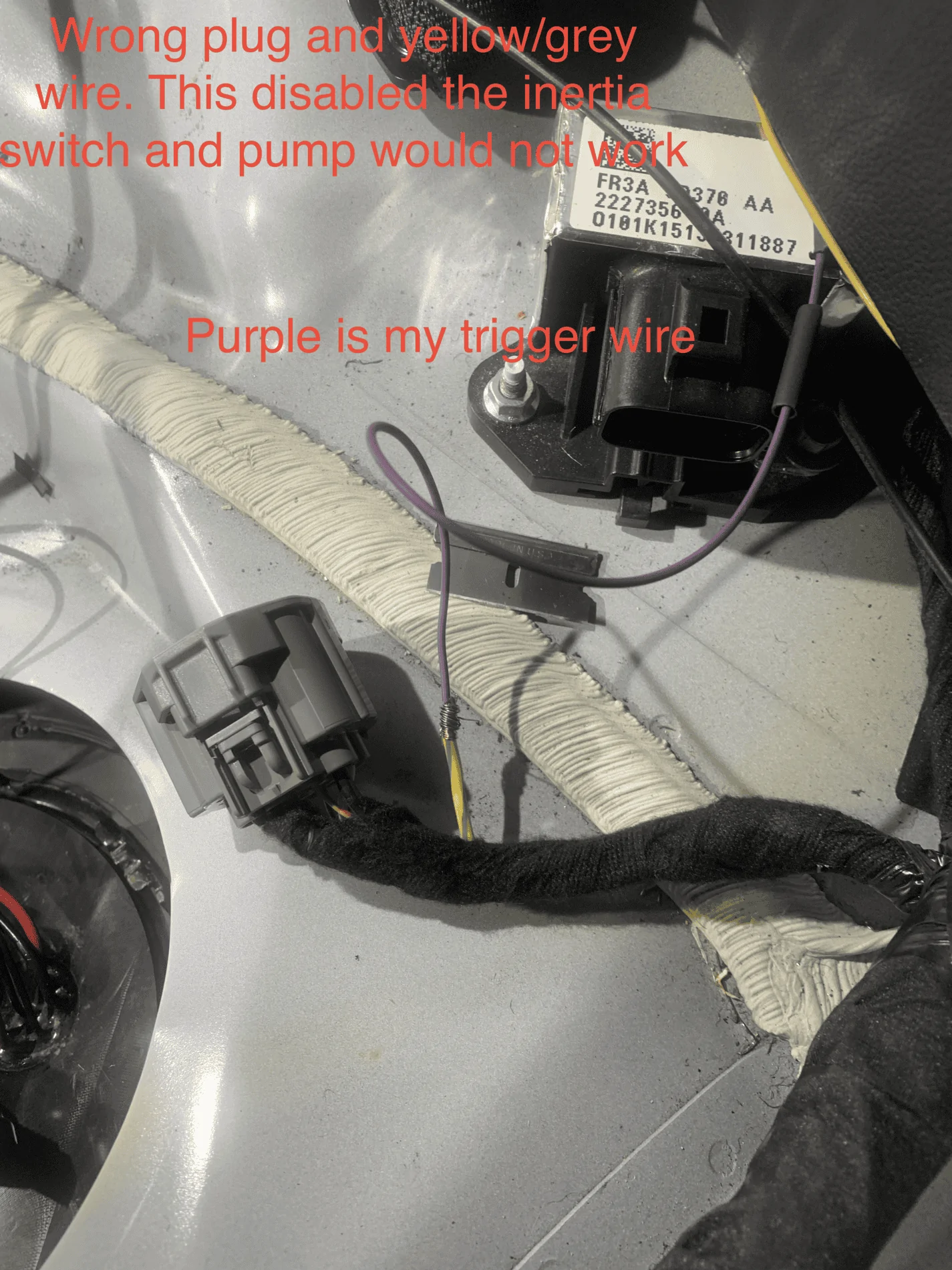 fullsizeoutput_ca8.webp