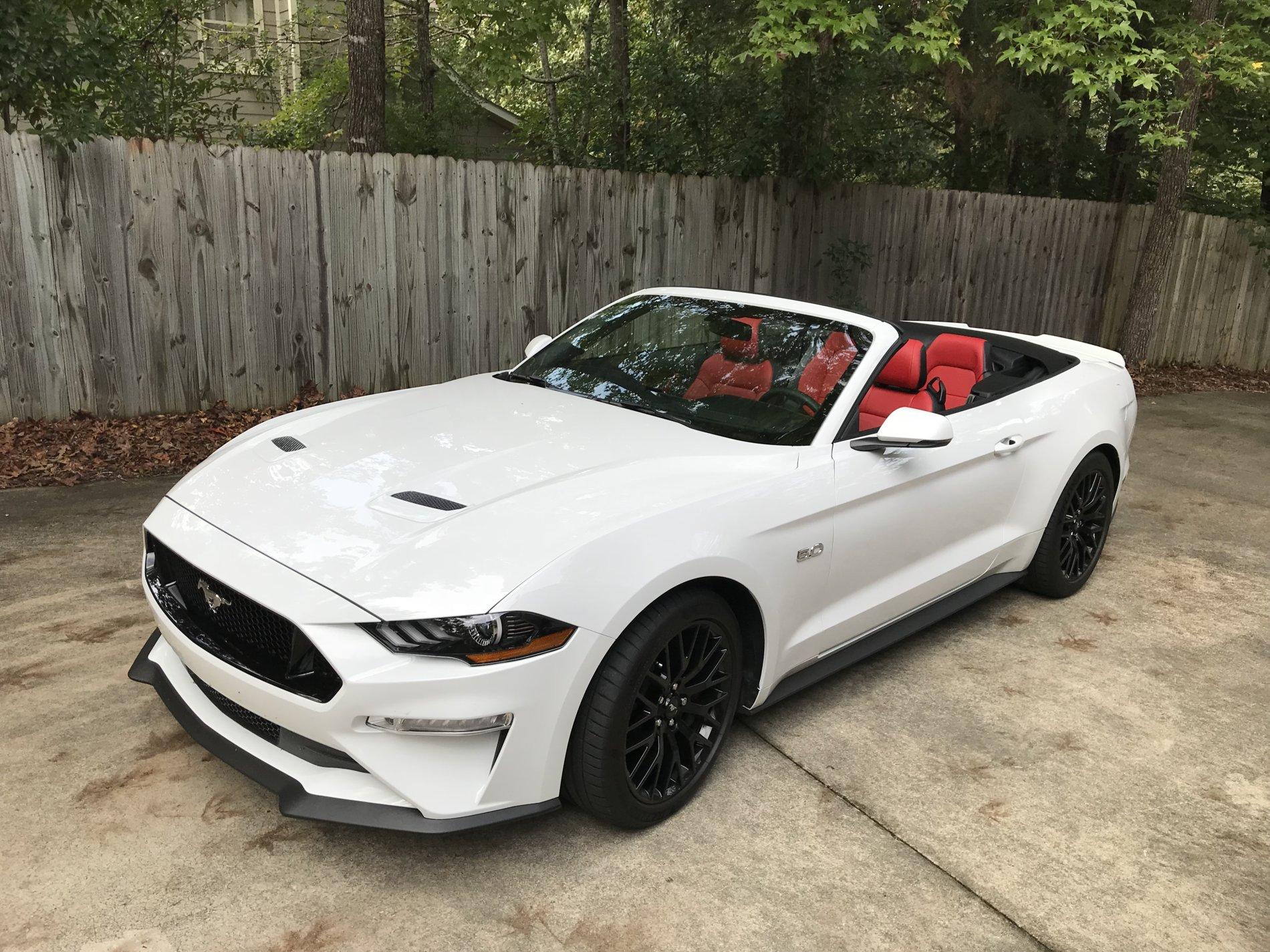 mustang 4.jpg