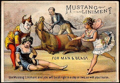 mustangLiniment.jpg