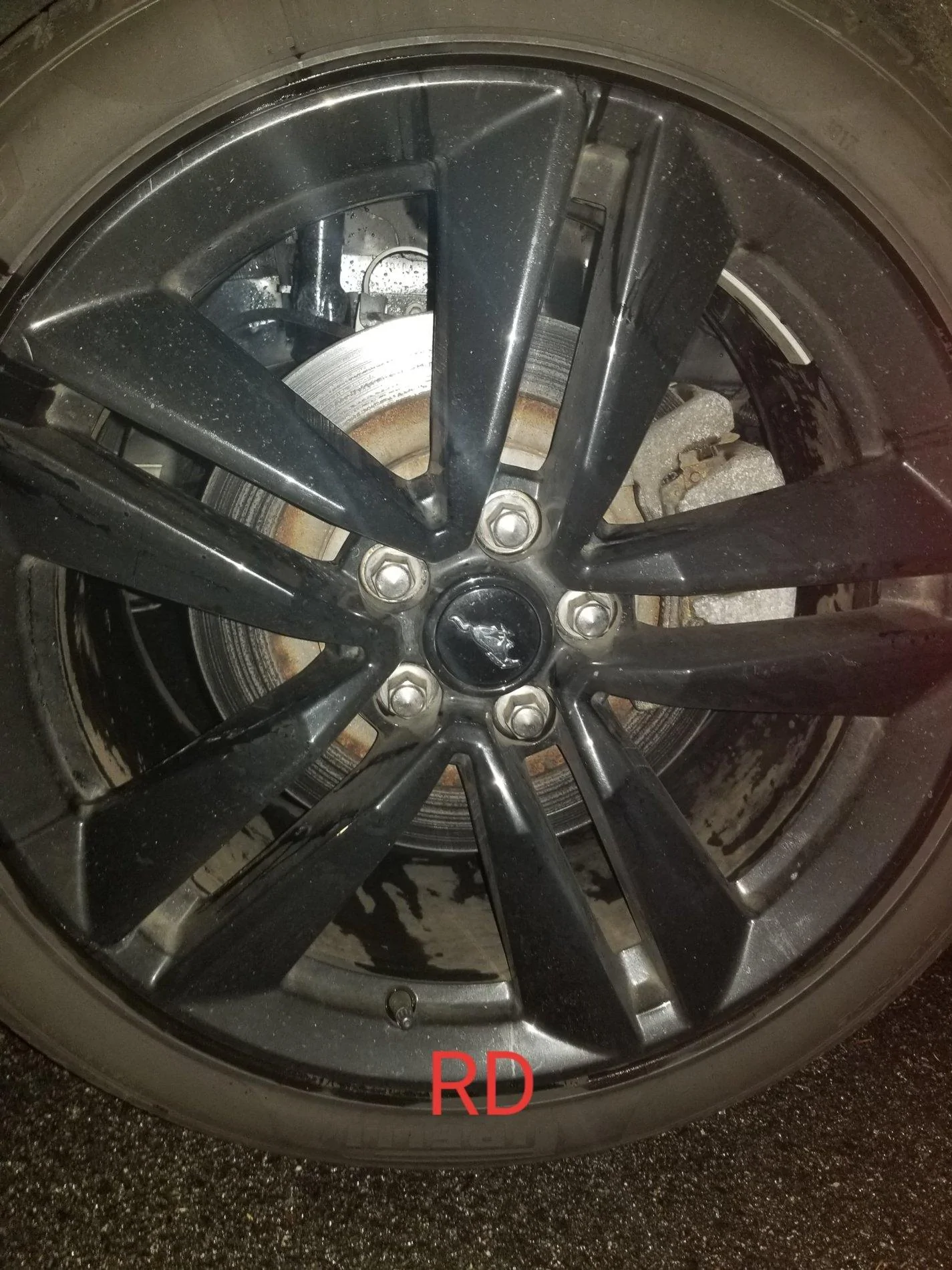 67728301_2479751715408362_465830271728484352_n.webp