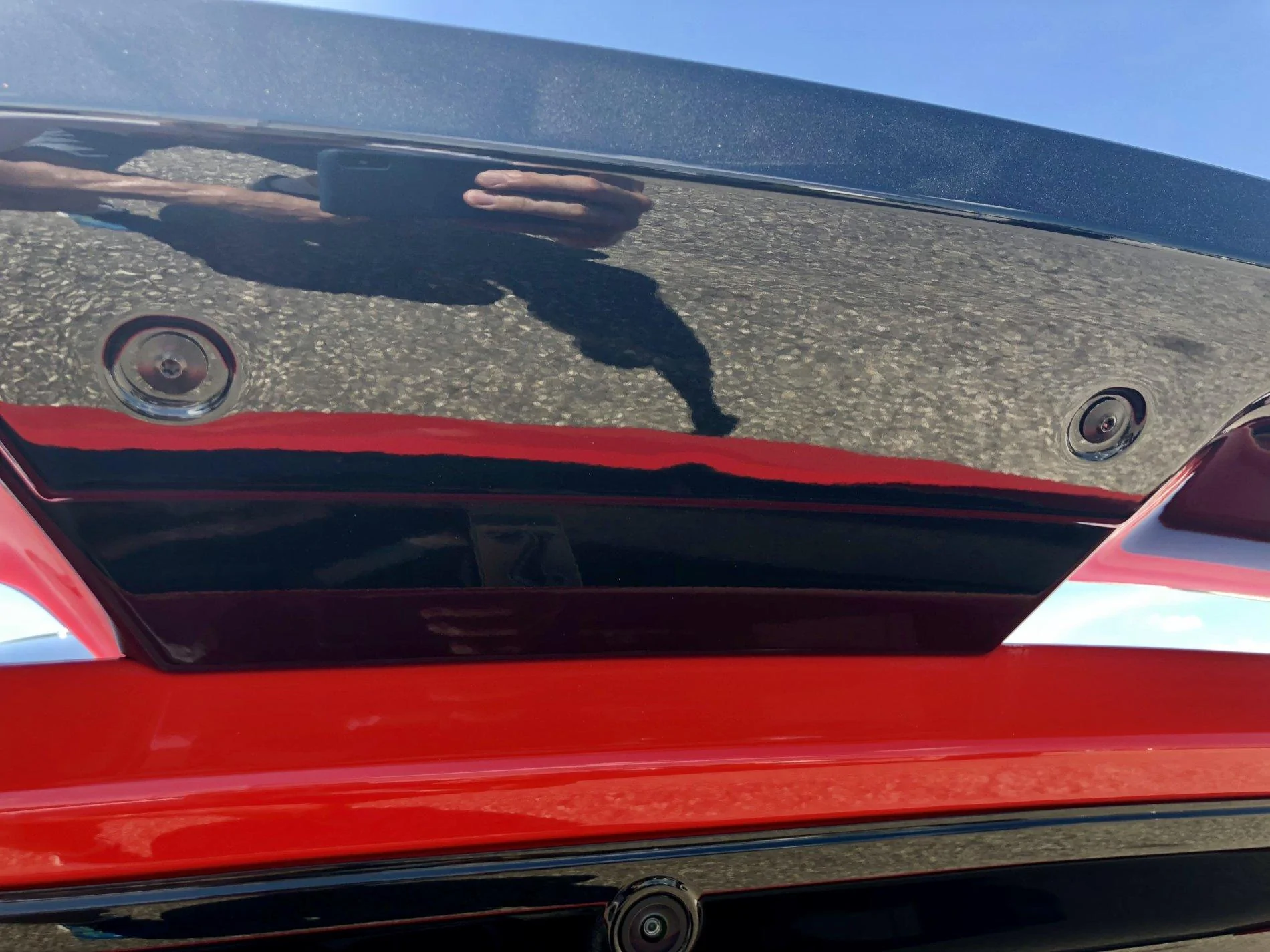 2019 GT350 Spoiler 3.webp
