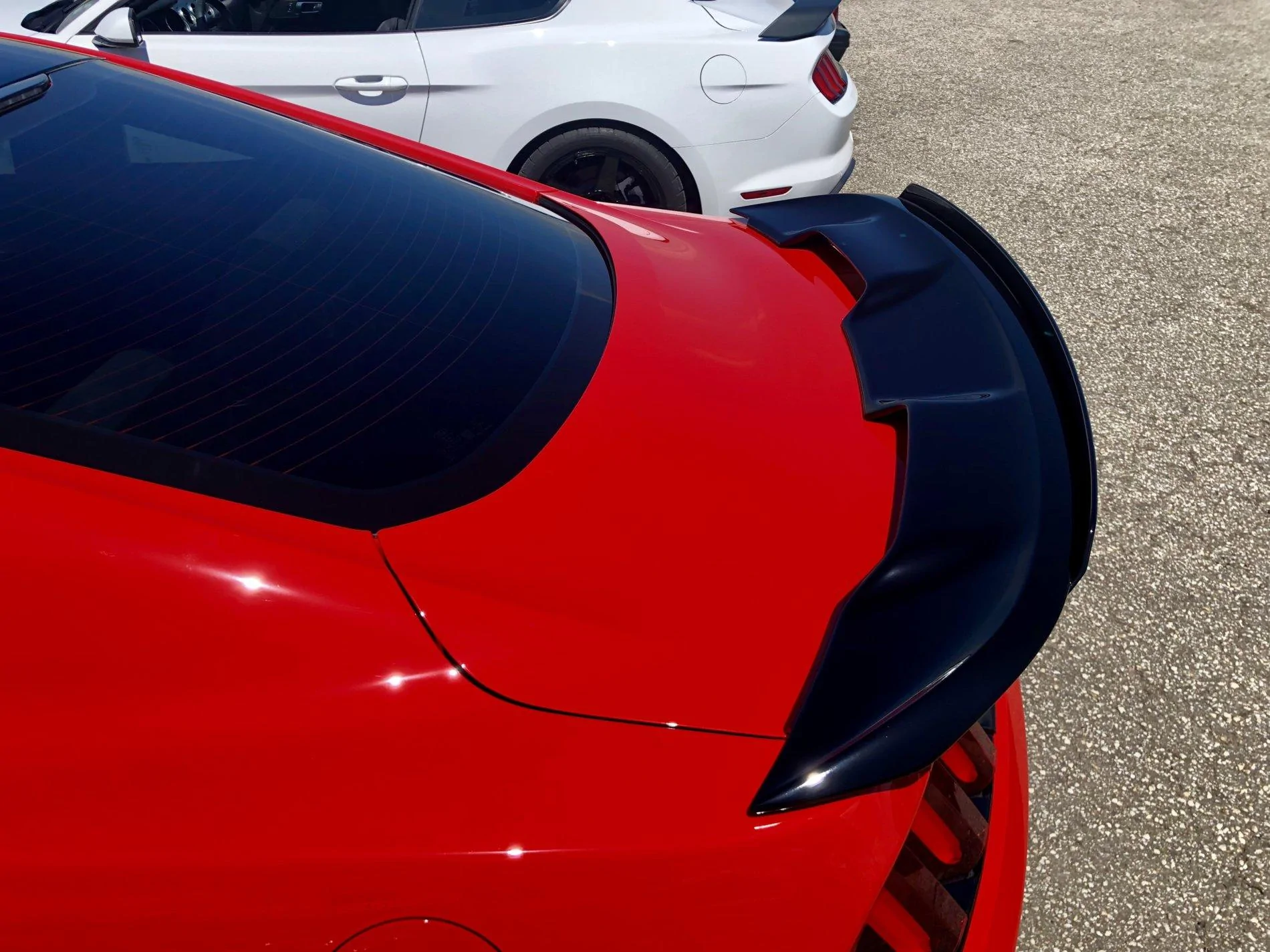 2019 GT350 Spoiler.webp