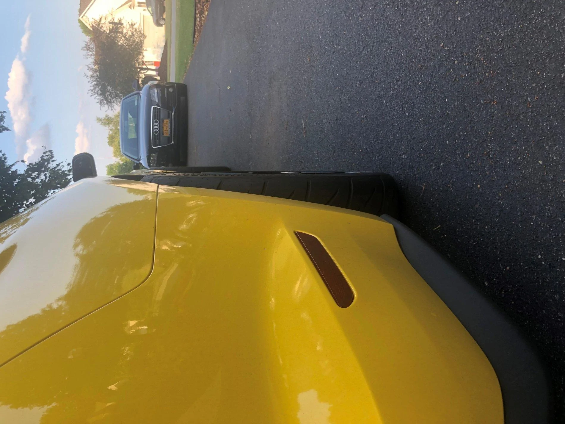 Poke rear.webp
