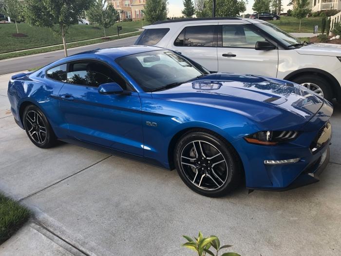 Mustang.jpg