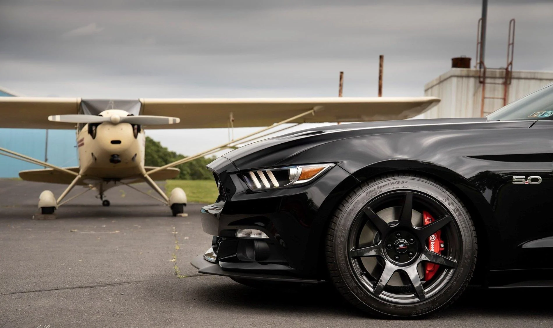 mustangshoot23.webp
