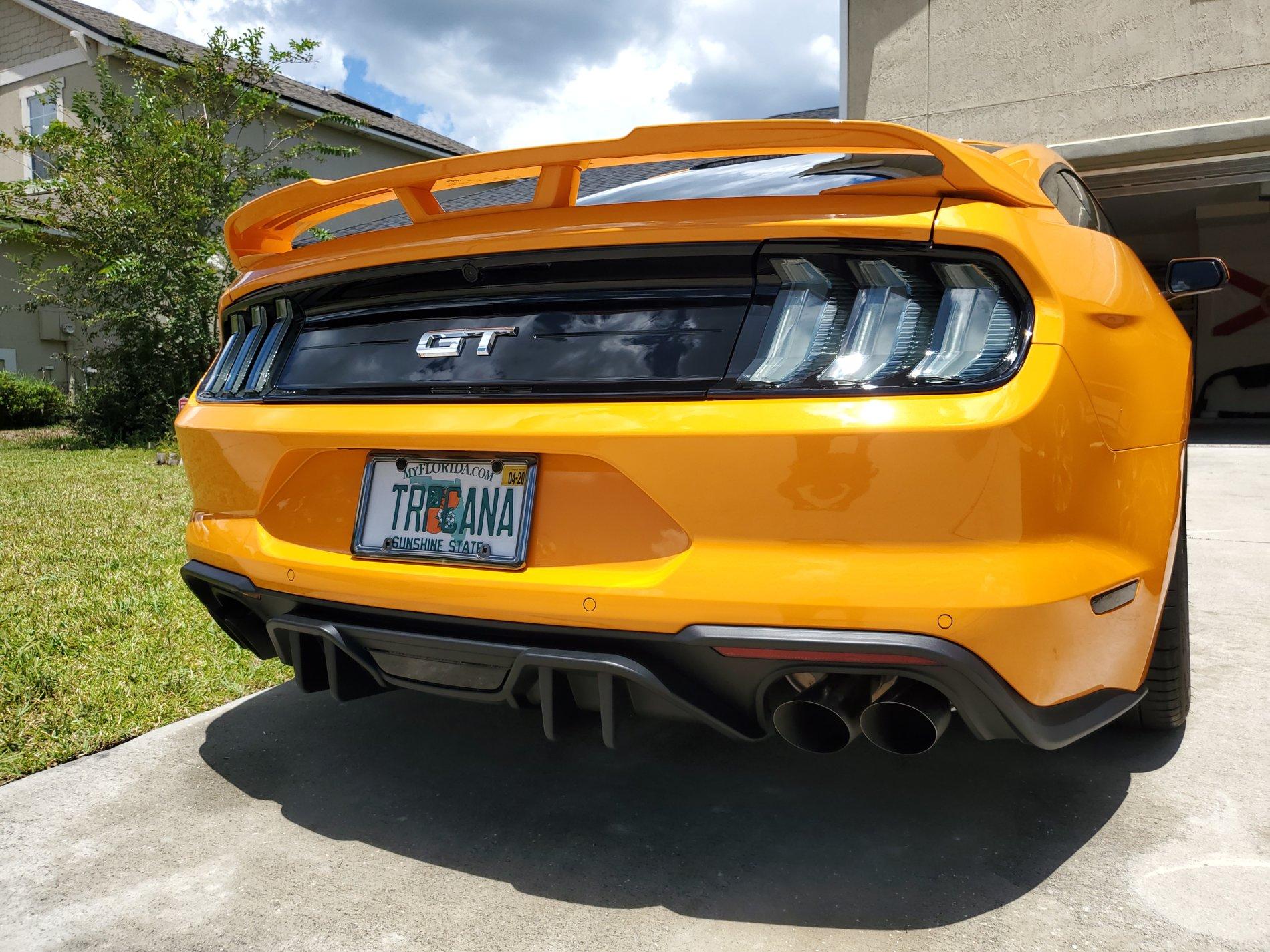 20190804_134942.jpg