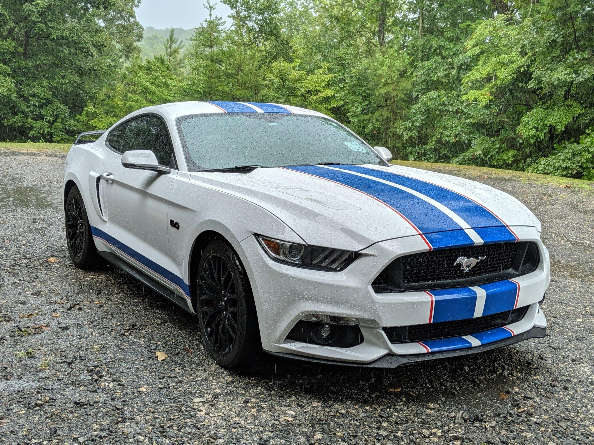 16 Mustang new strips1.jpg
