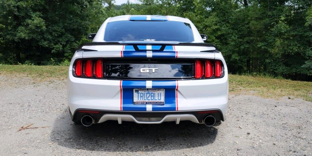 16 Mustang new strips rear.jpeg