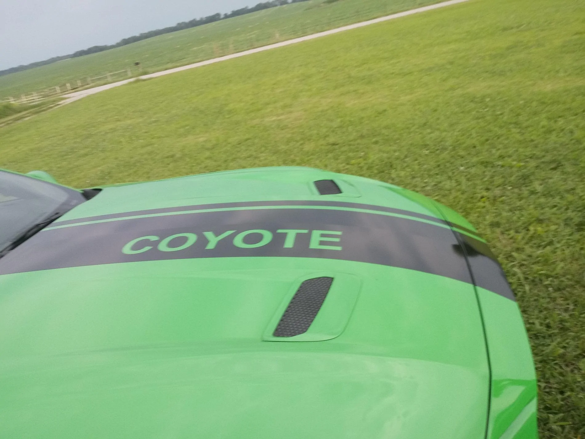 20190806_181948.webp