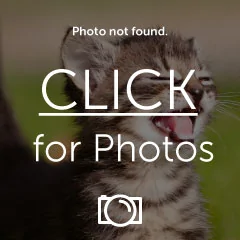 IMG_0411.webp