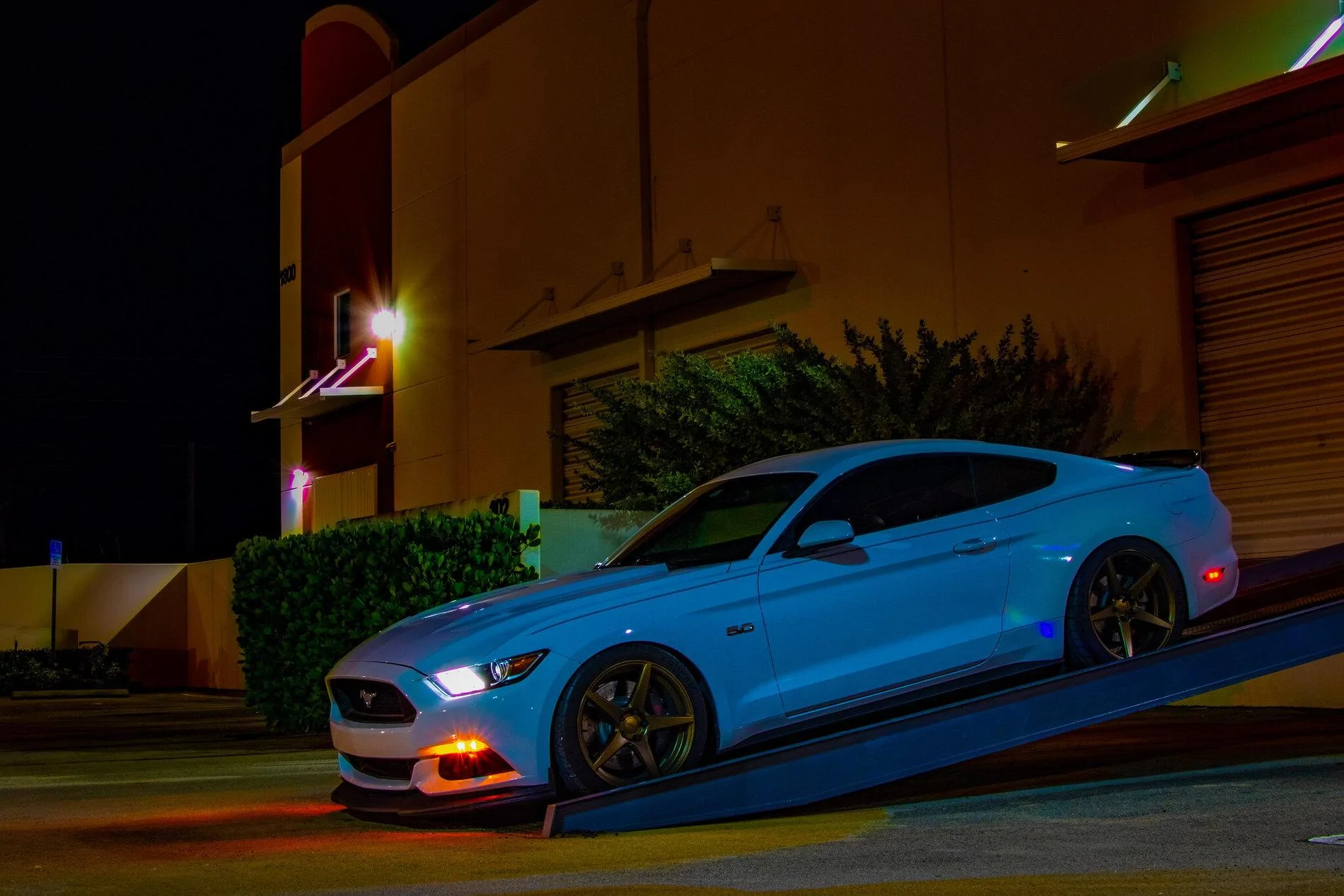 48480071137_c302ac8917_k.webp