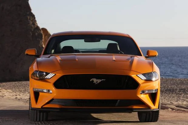 mustang1.webp
