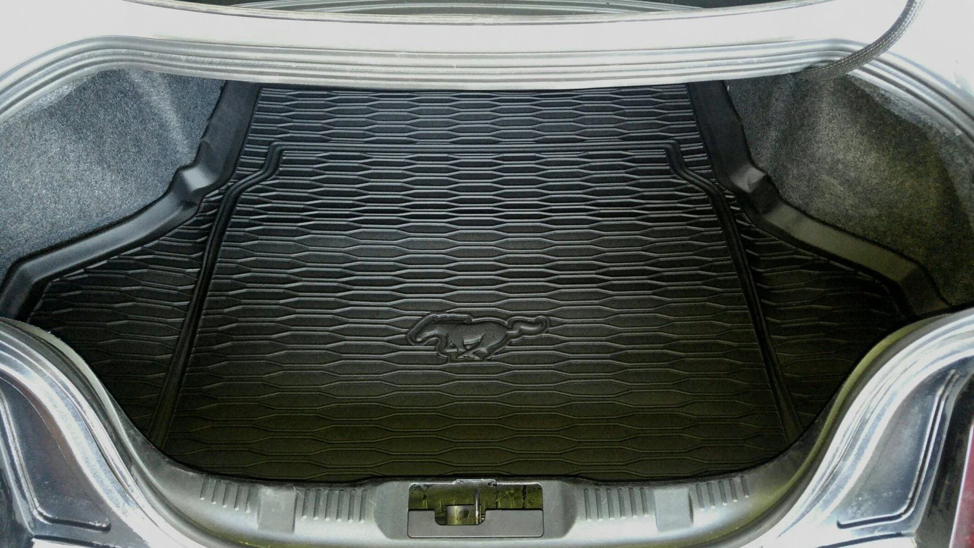 IMG_trunk-mat.webp