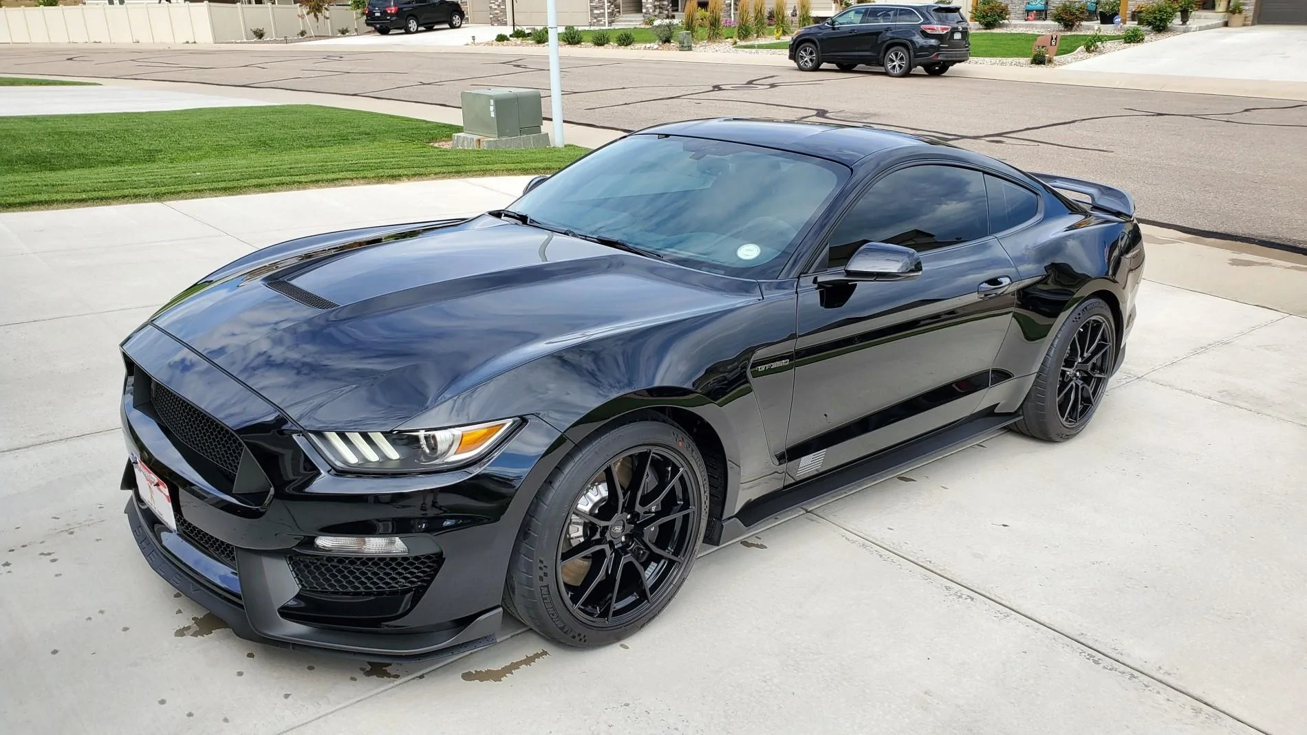 2019_Shelby_GT350_2_fixed_web.webp