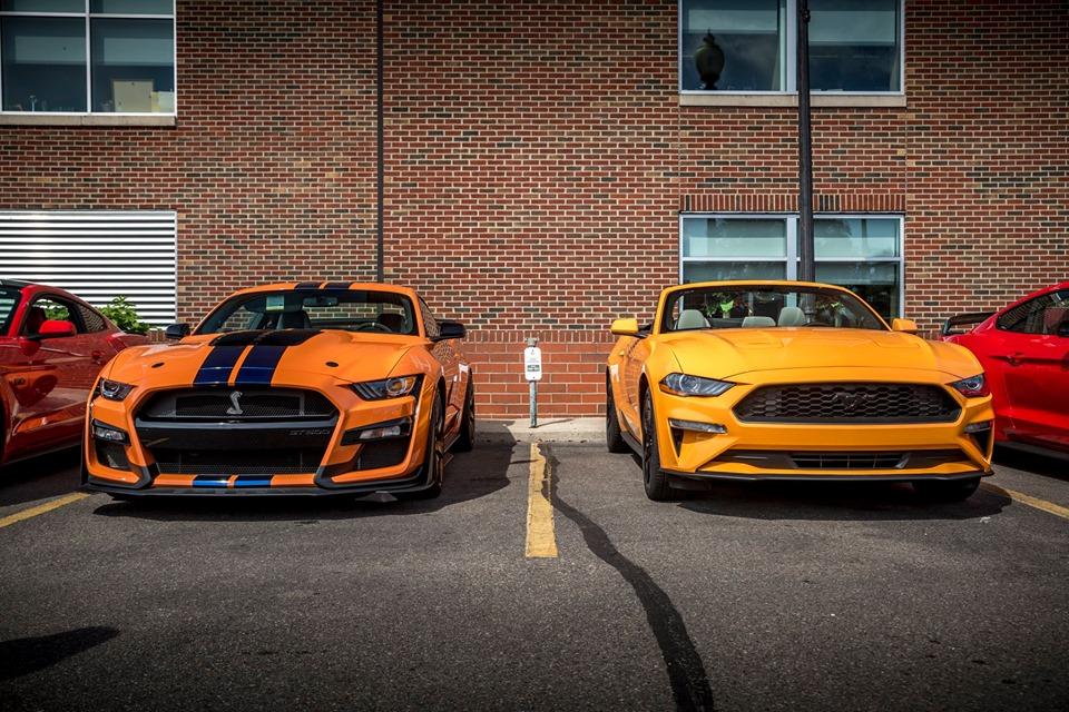 Orange Fury v Twister Orange.jpg