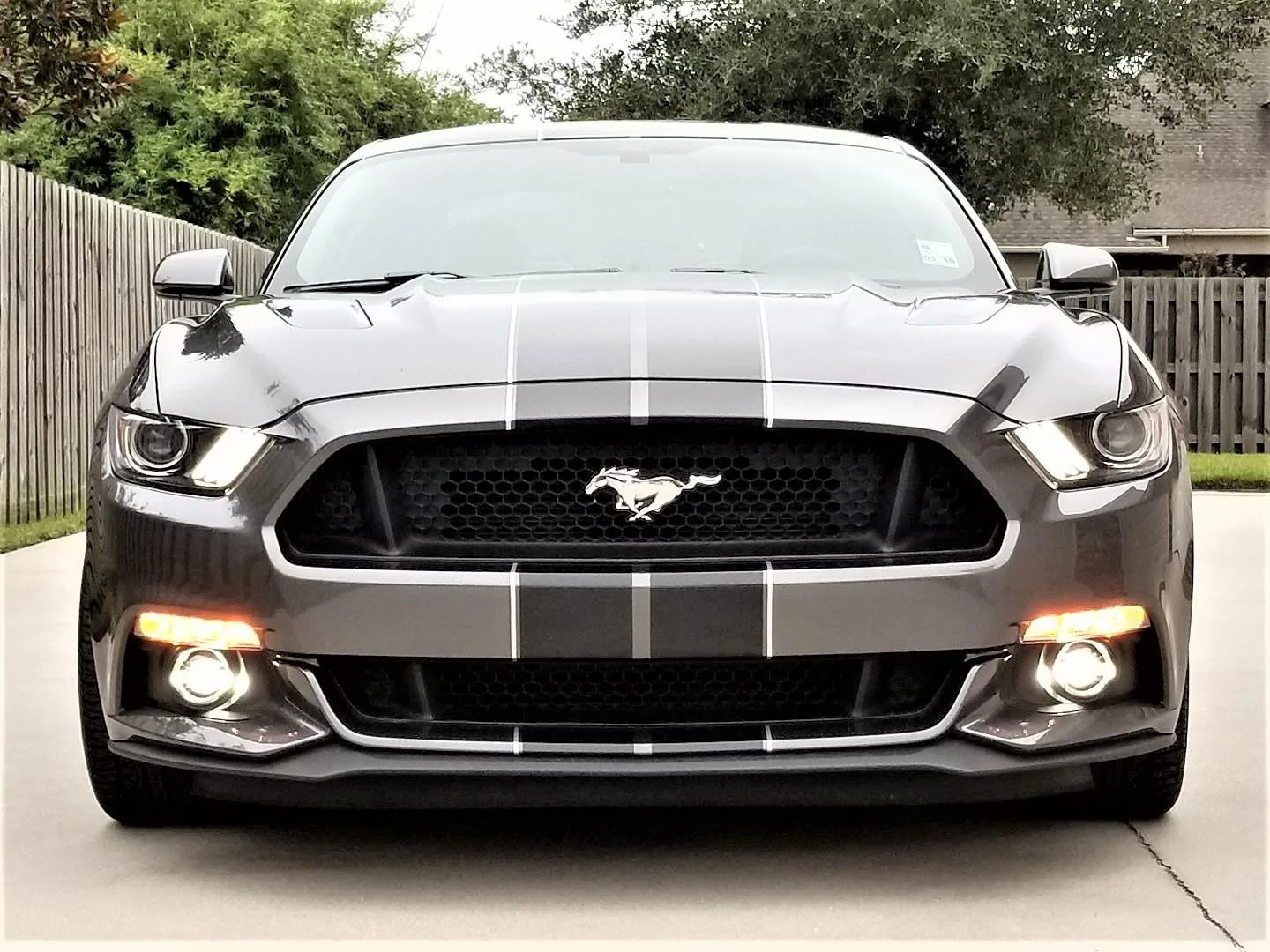 FEF.webp