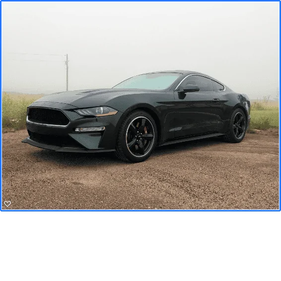 2019 Bullit in Fog.webp