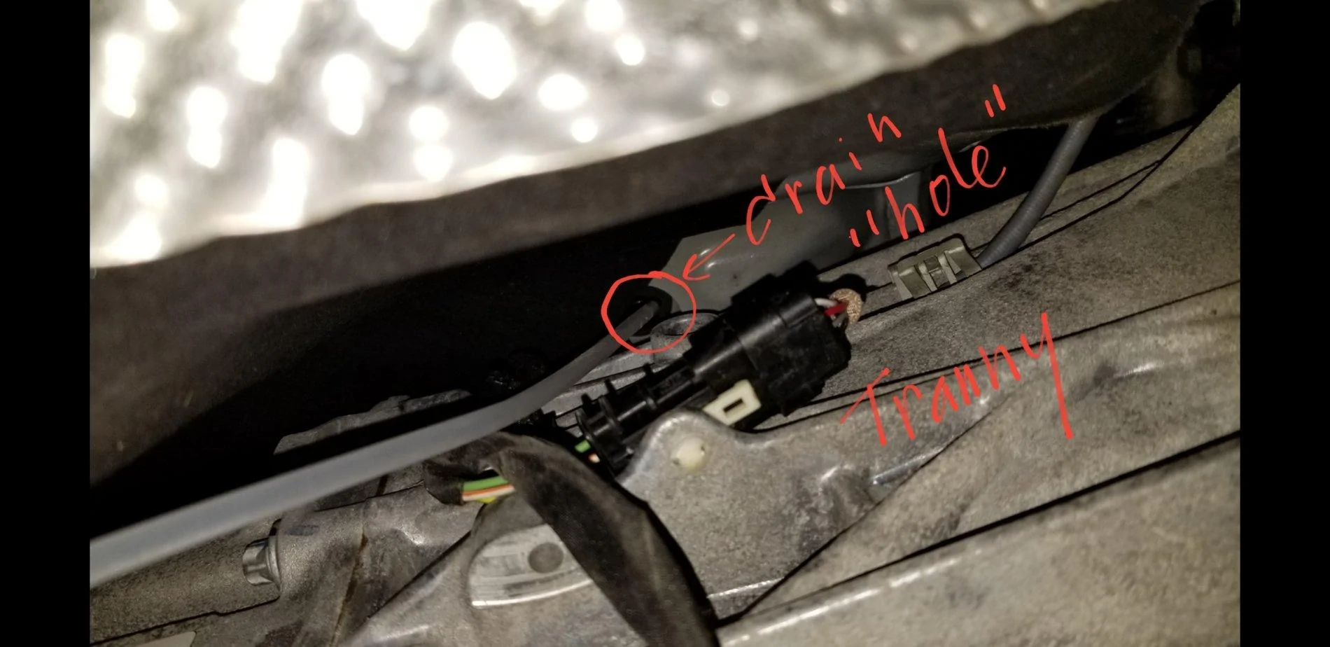 Screenshot_20190819-192345_Gallery.webp