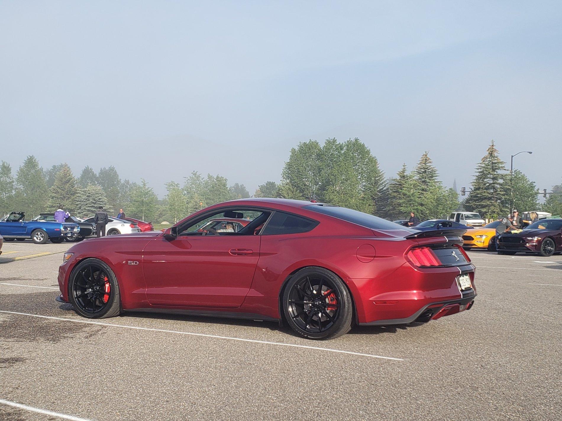 20190615_070828_resized_1.jpg