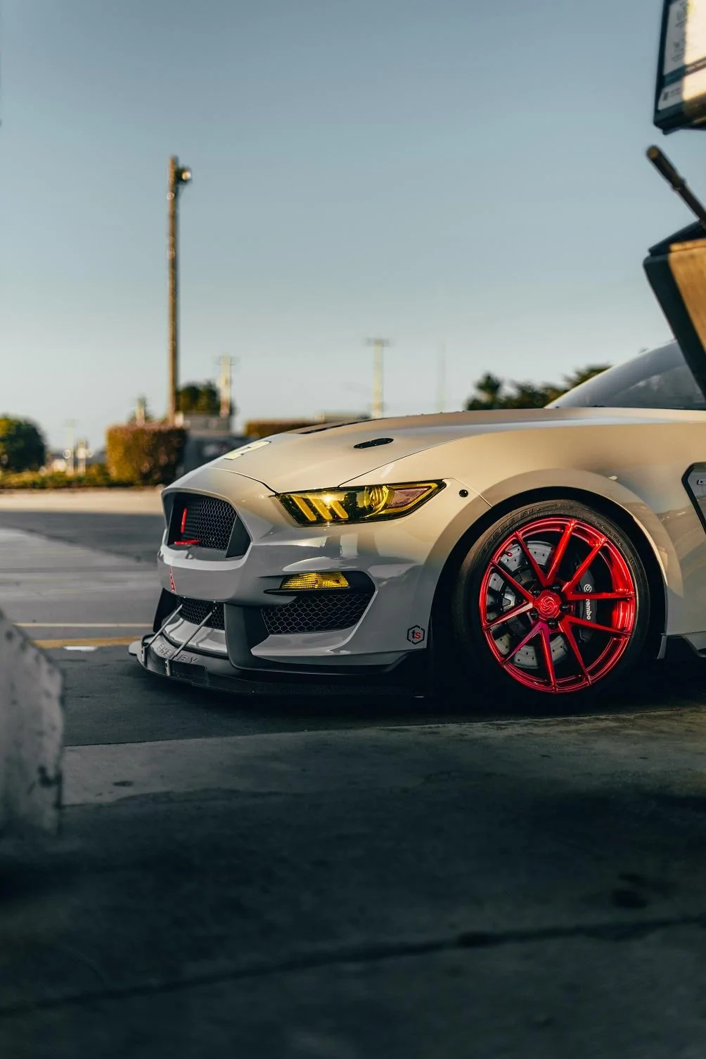 SV702 GT350 Matt Crystal Burgundy X(31).webp