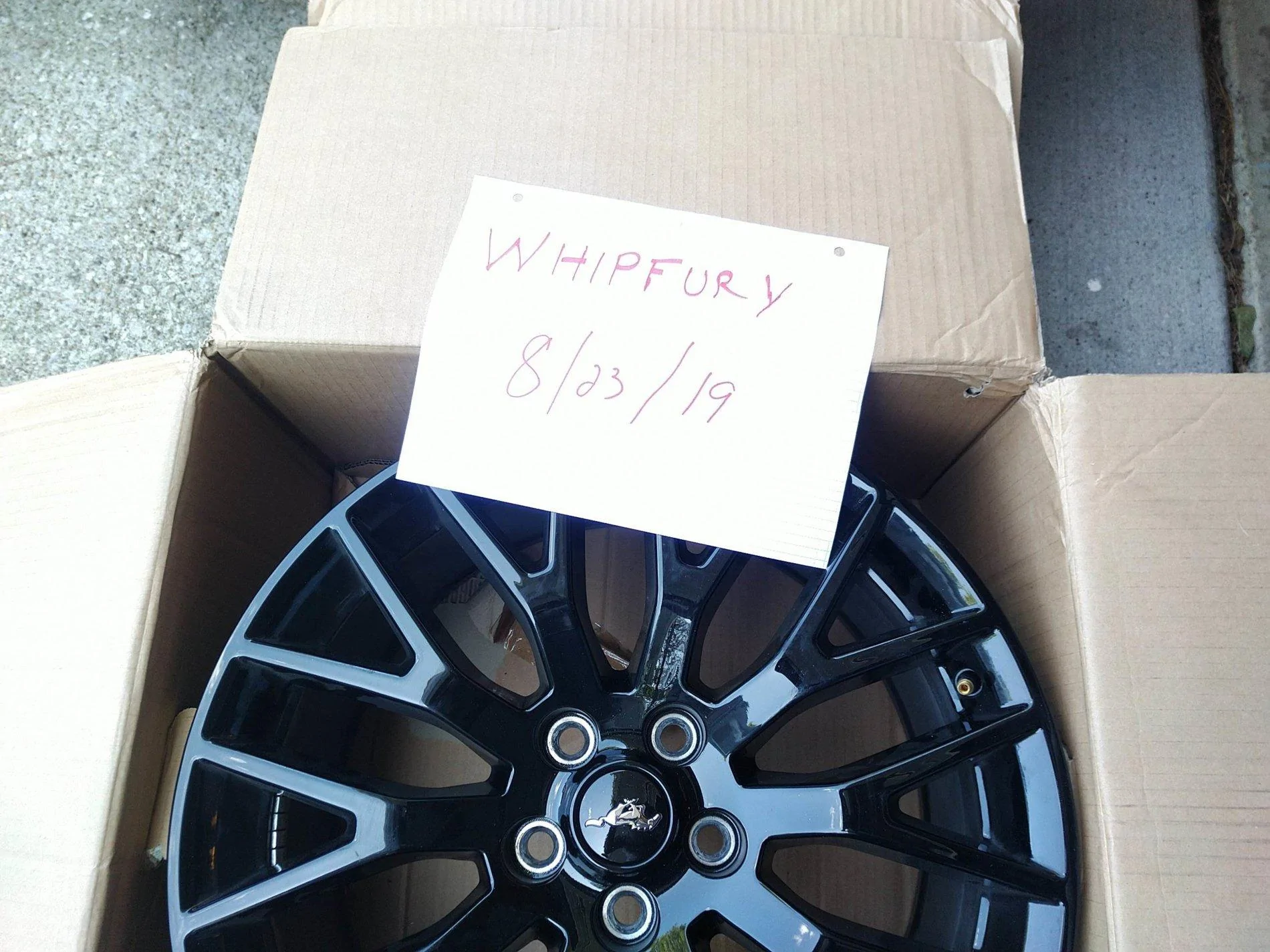 Whip Fury Wheels.webp