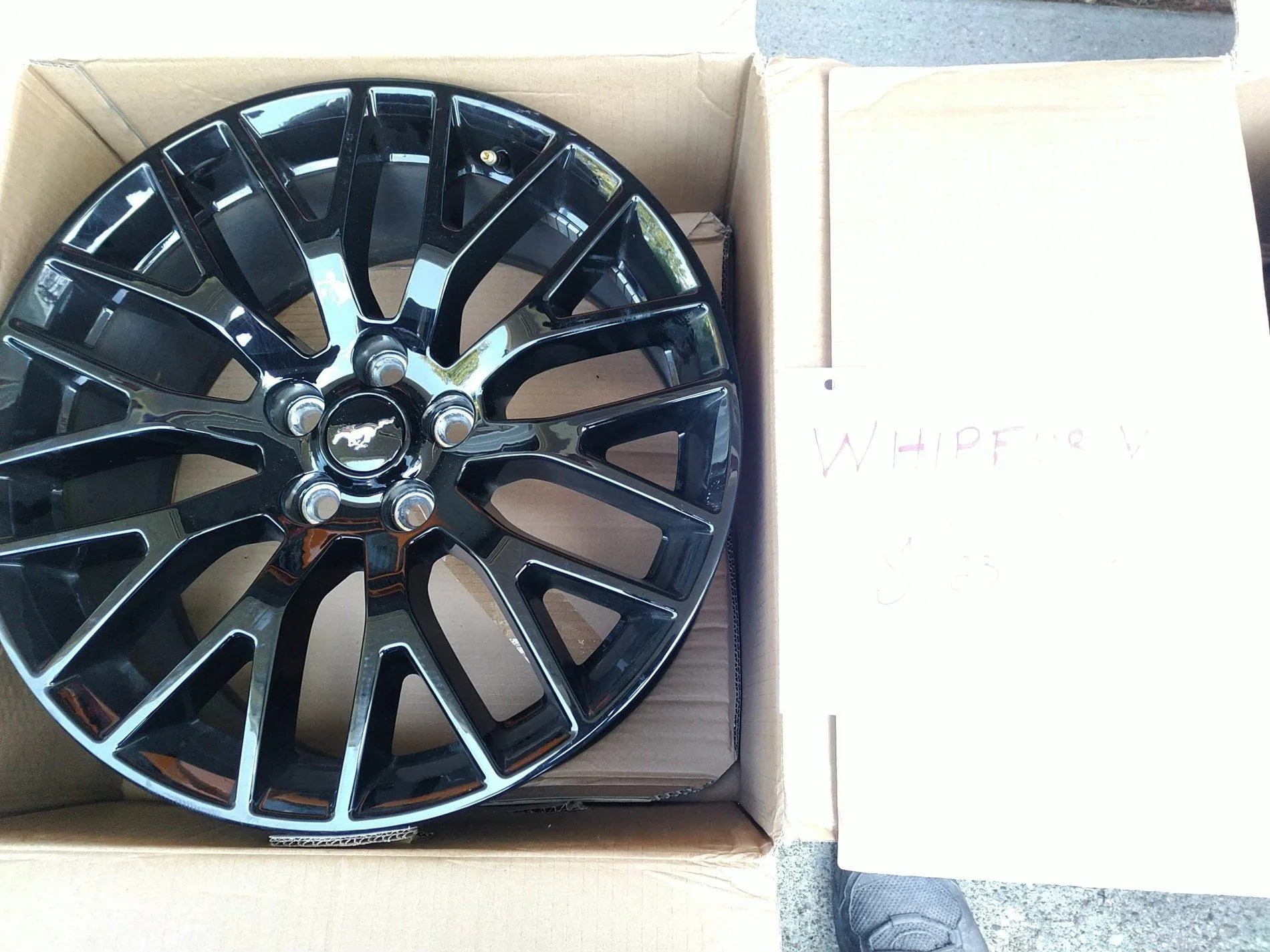 whip fury wheel 2.webp