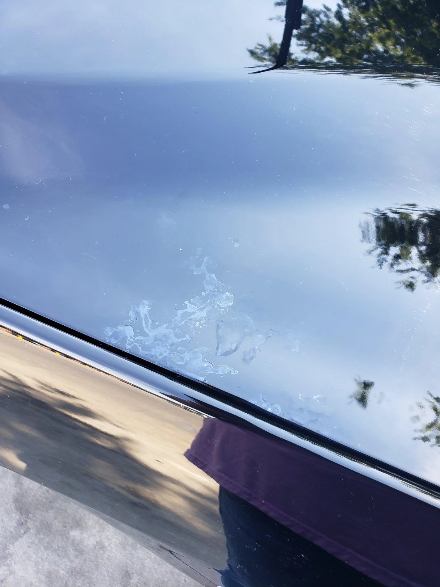 20190815_113819.webp
