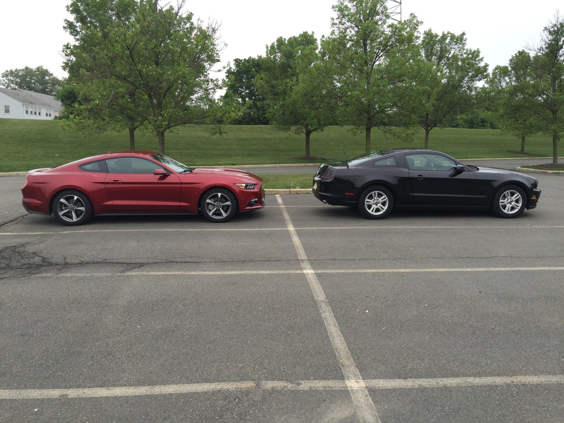 Two Mustangs @ Salt Creek Grill 6-20.jpg