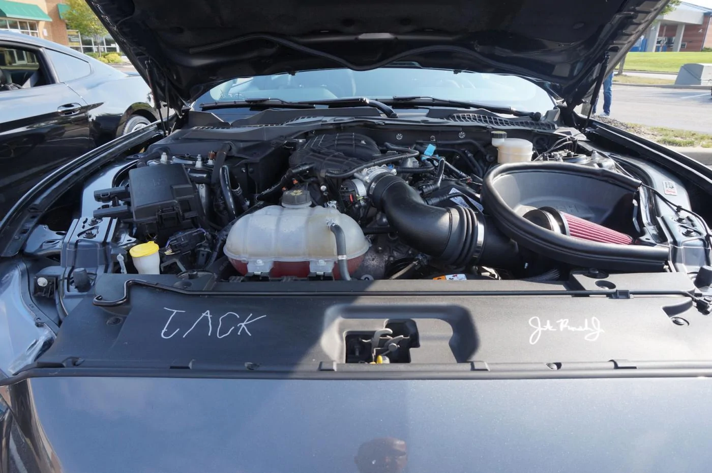 DSC01984_resize35.webp