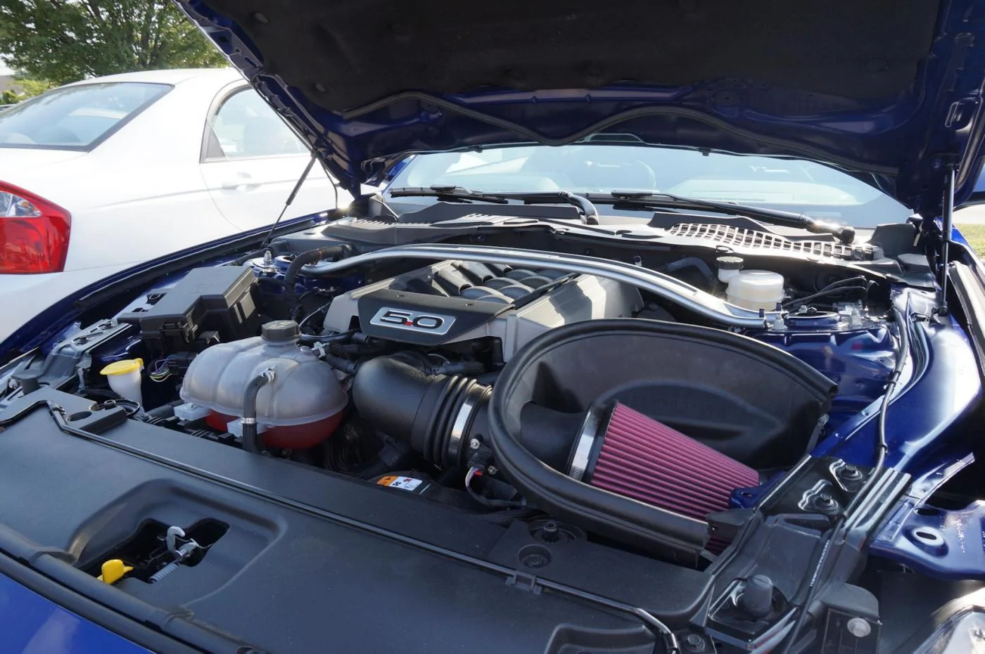 DSC01987_resize35.webp