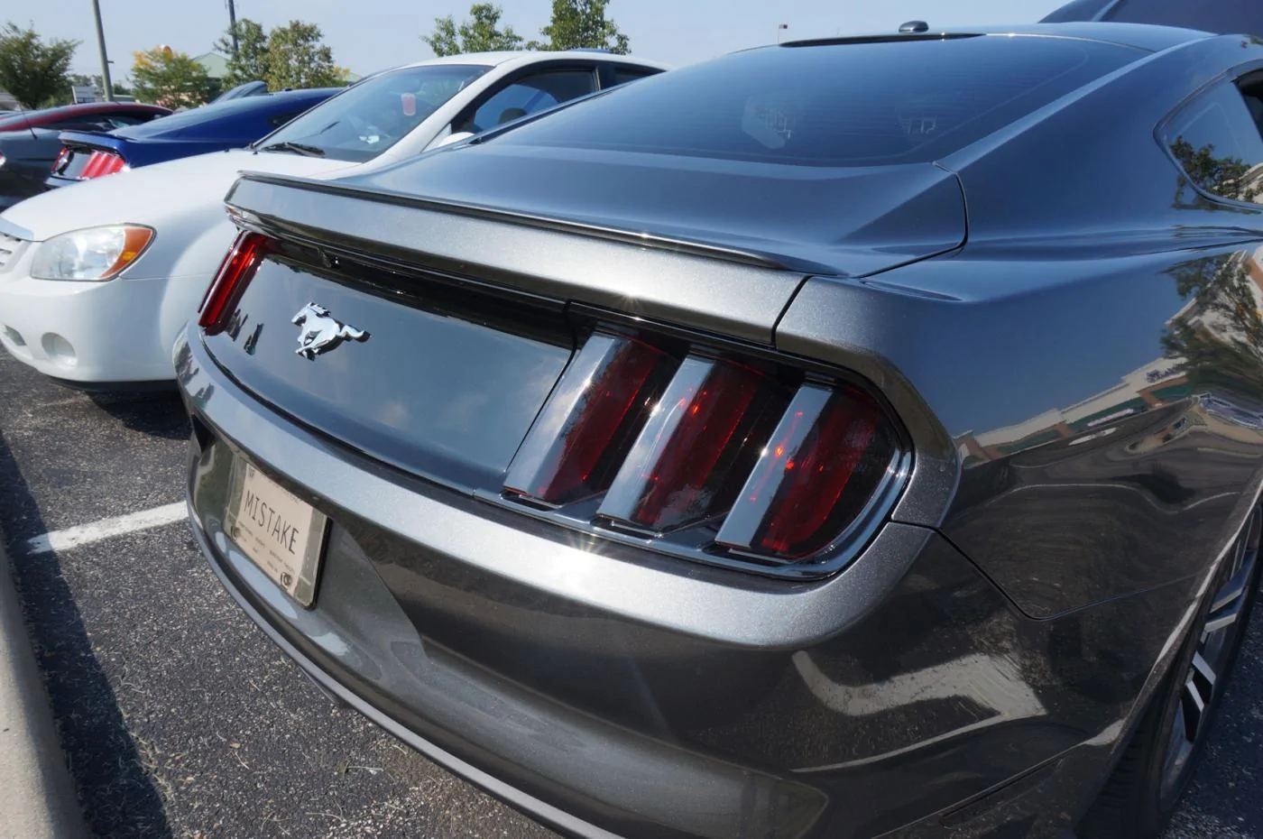 DSC01999_resize35.webp