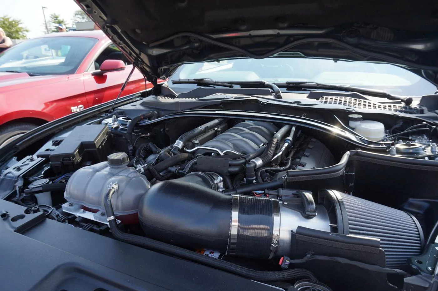 DSC02001_resize35.webp